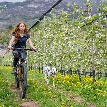 Agritur La Dolce Mela - Adults Only Farm stay Vezzano (Trento)