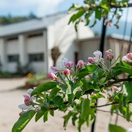 Agritur La Dolce Mela - Adults Only Farm stay *