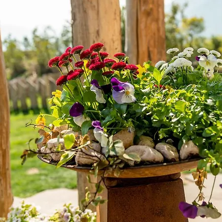 Agritur La Dolce Mela - Adults Only Farm stay Vezzano (Trento)