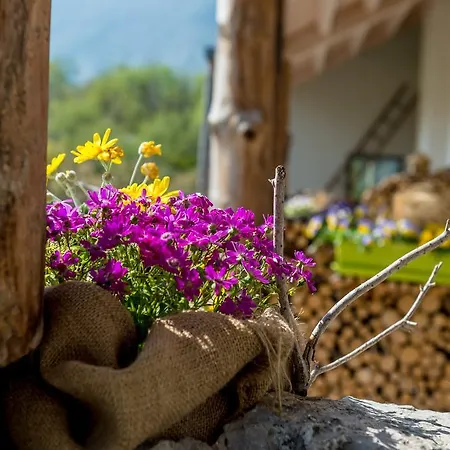 Agritur La Dolce Mela - Adults Only Vezzano (Trento)